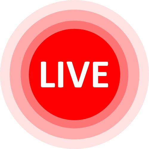 Allisonpalmer Cam
